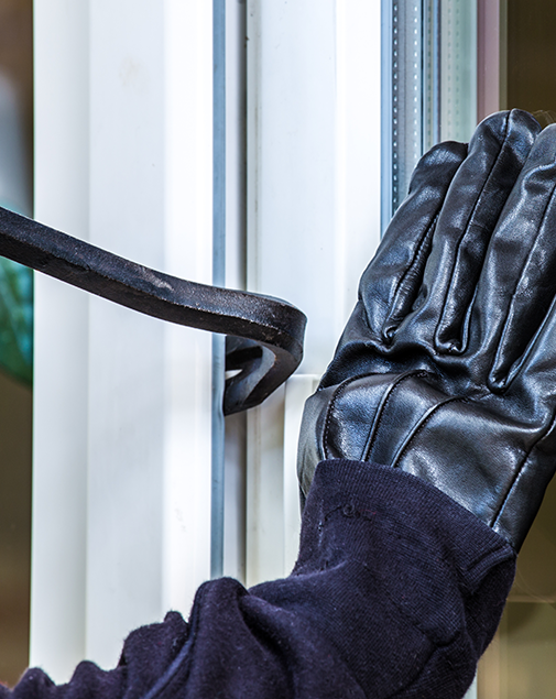 Theft and intrusion security